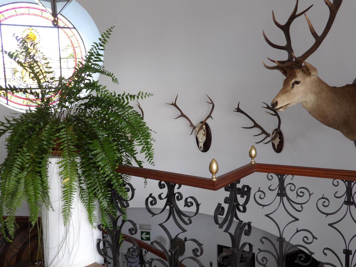 Palacio Donana , Rural & Luxury エル・ロシオ エクステリア 写真